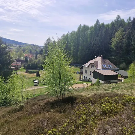 Saxana